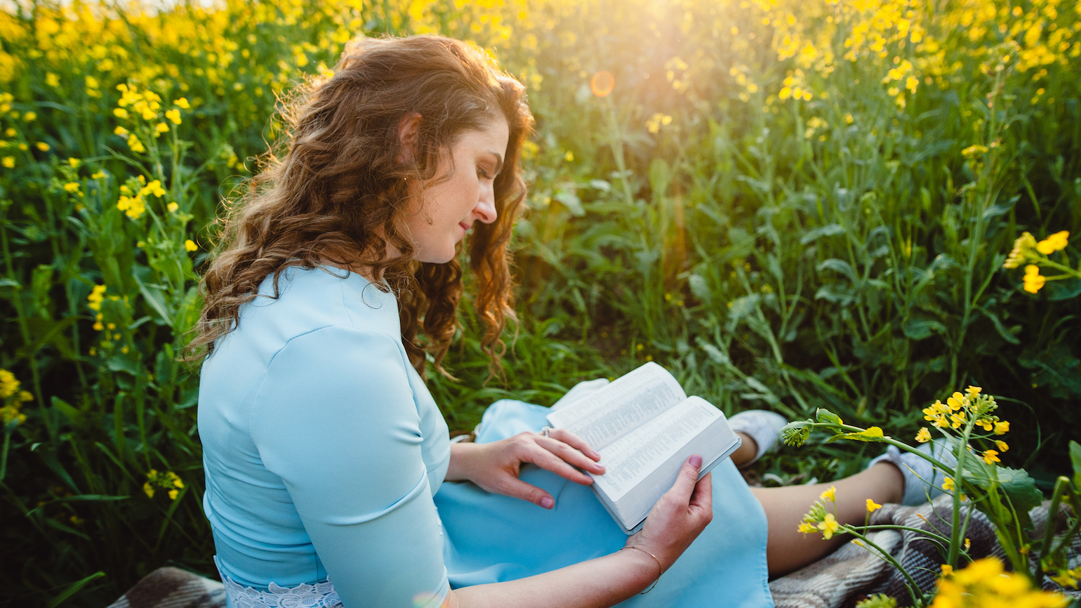 What I Did on My Summer Vacation