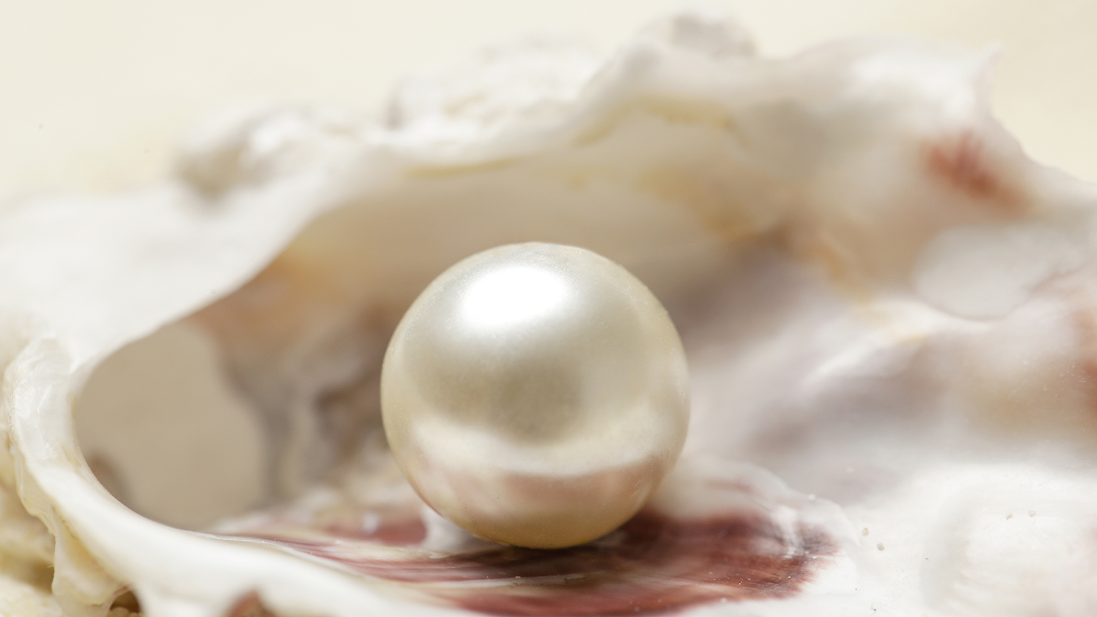 Becoming a Beautiful Pearl Through Pain and Perseverance