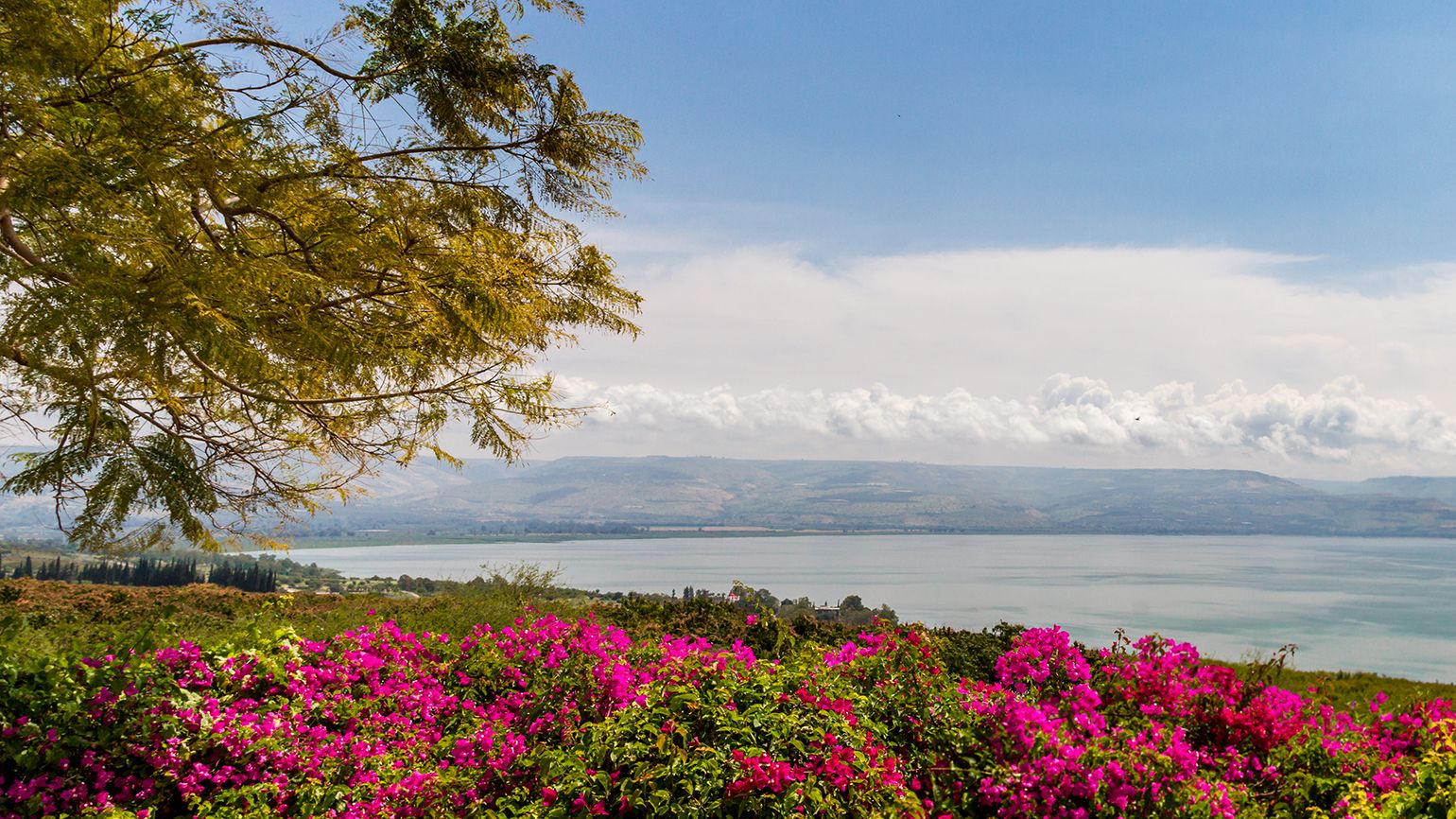 Three Lessons of the Beatitudes