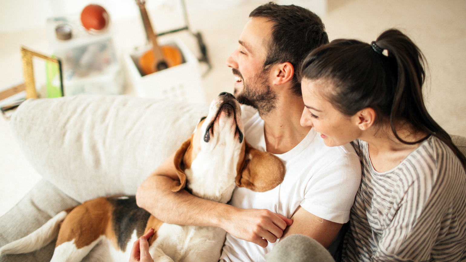 Life Without Children