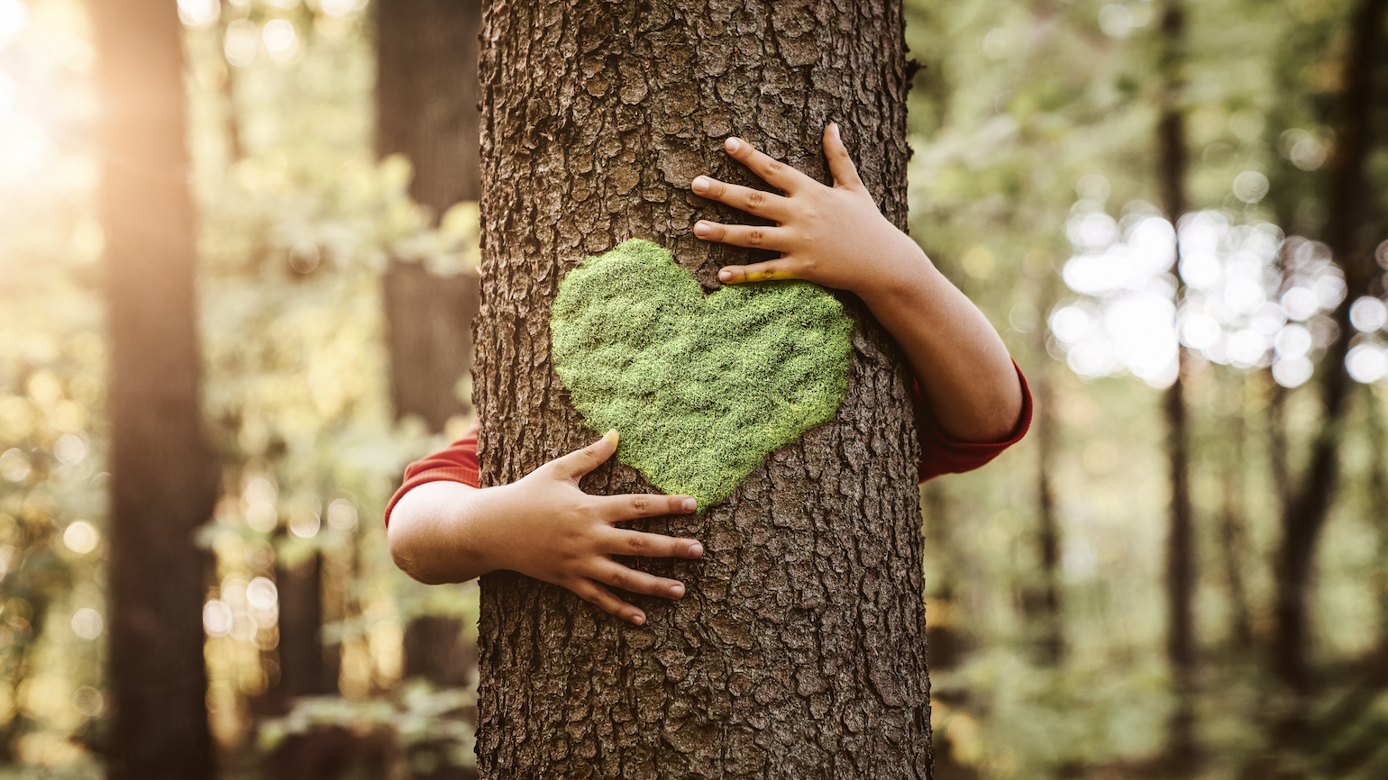 8 Ways to Help Your Kids Help the Environment