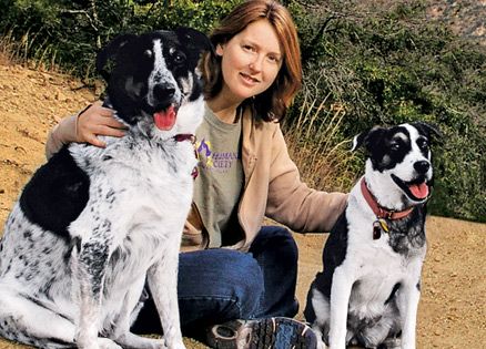 The Pet Finder’s Success Story