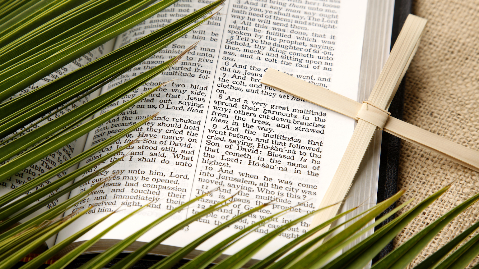 Palm Sunday in the Bible: 15 Palm Sunday Scriptures
