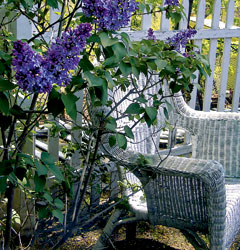 God Helps My Garden Grow