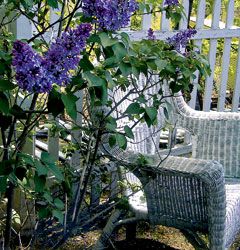 God Helps My Garden Grow