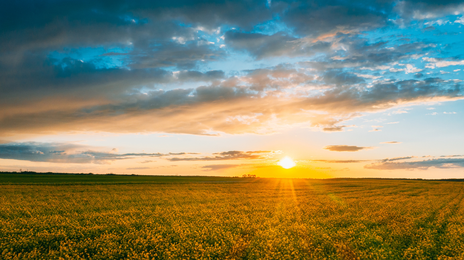 7 Bible Verses to Pray First Thing in the Morning