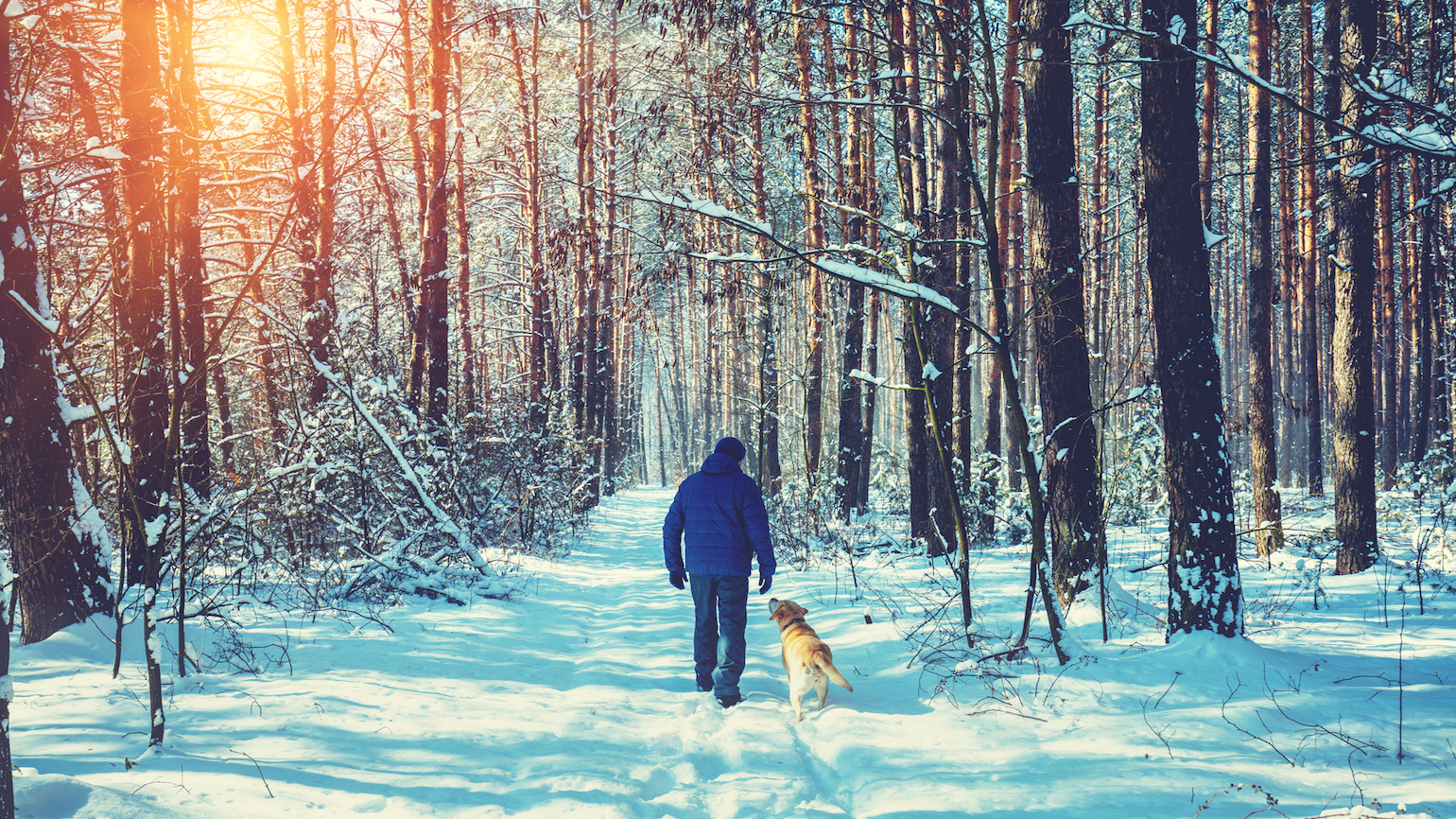 Healthy Habits and the Power of Showing Up