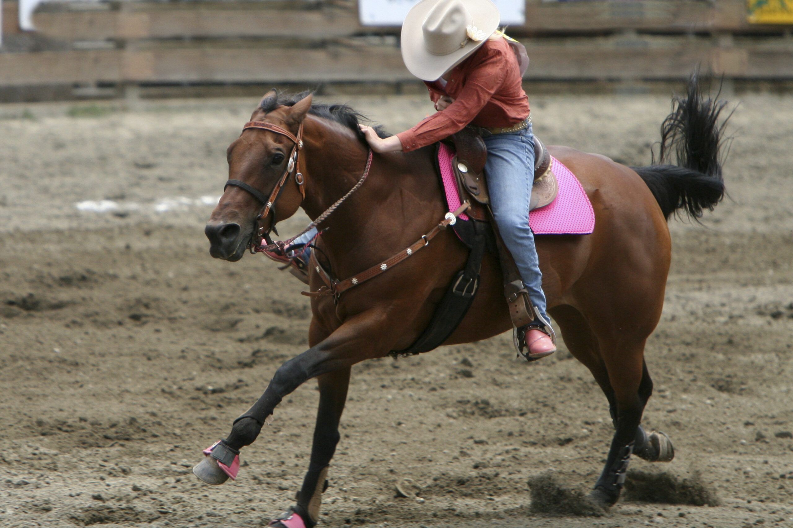 Living with Cancer: A Cowgirl’s Inspiring Journey