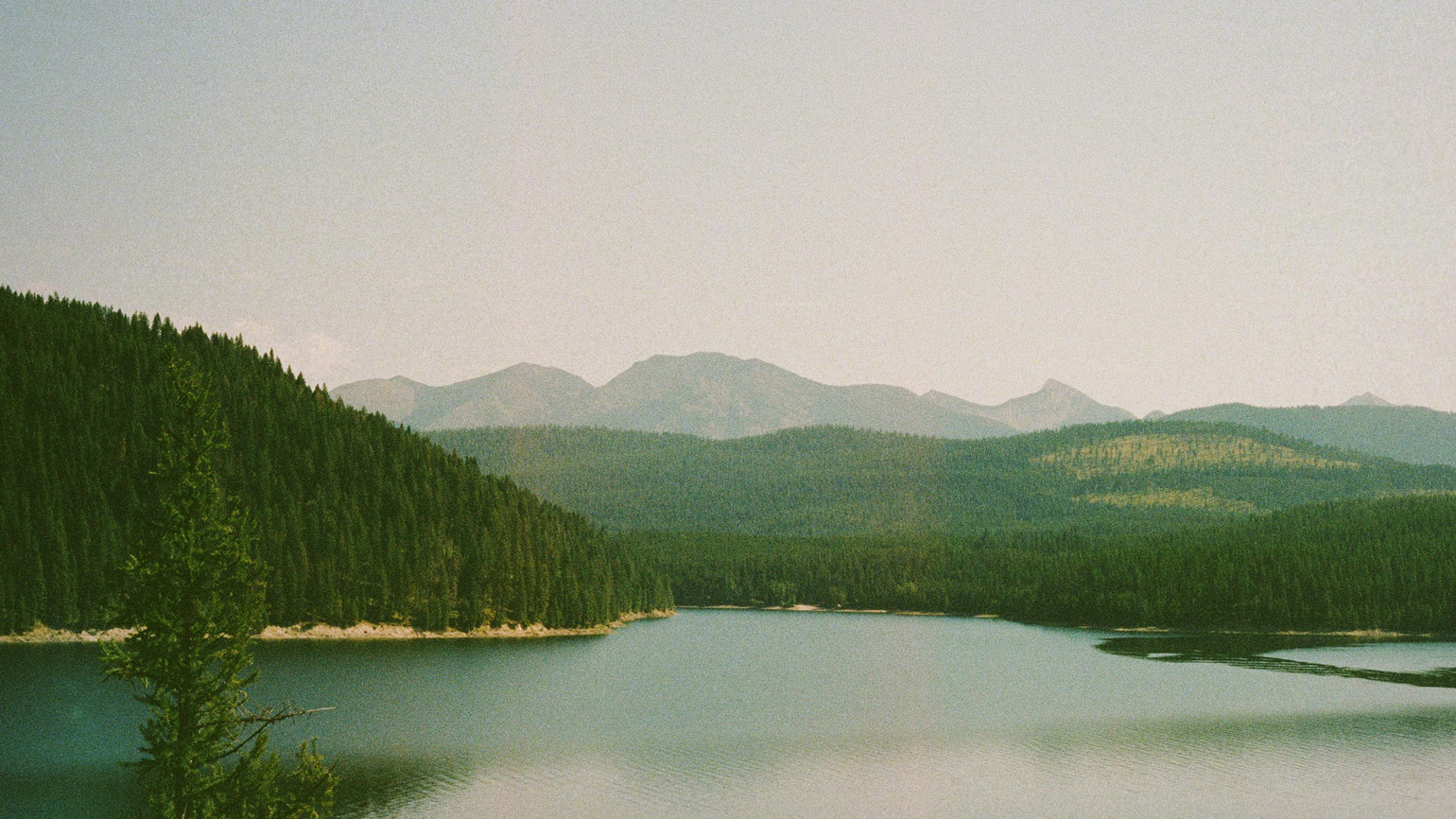 10 Powerful Bible Prayers of Affirmation