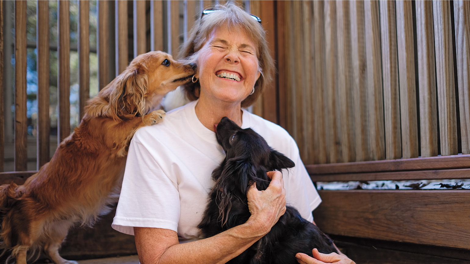 How a Puppy Helped Her Find a New Career