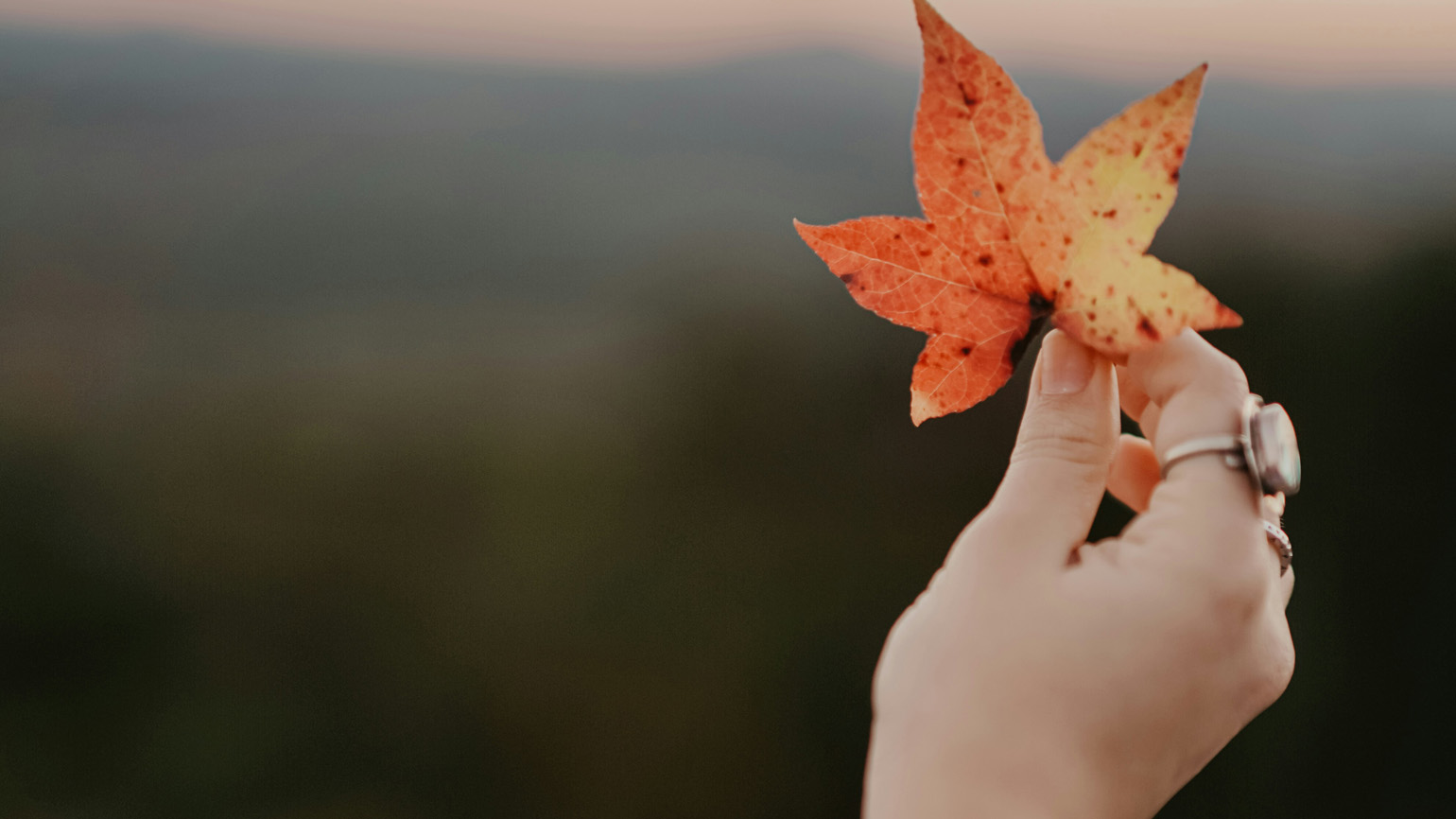 7 Biblical Prayers for Autumn