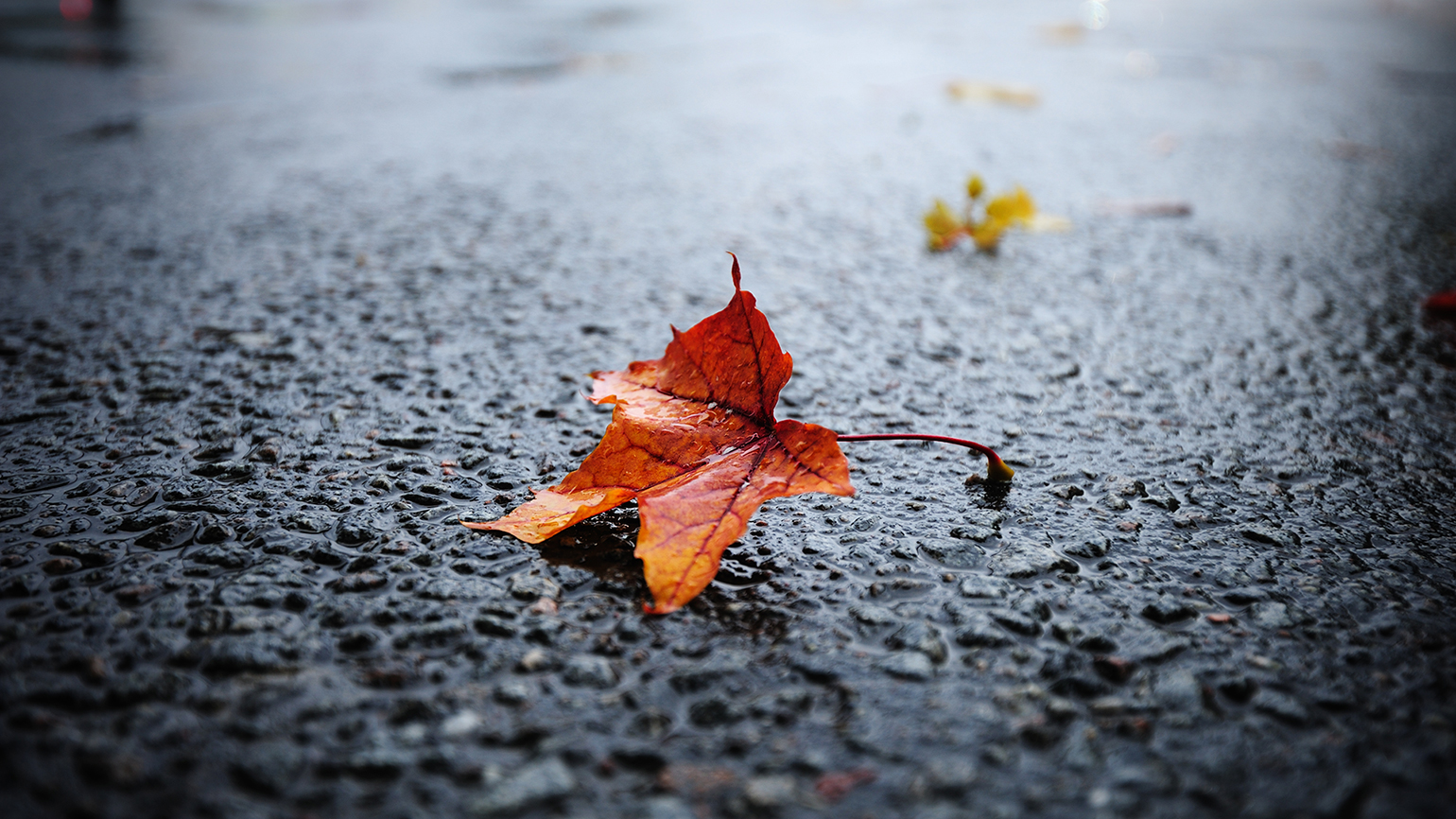 An Amazing Answered Prayer in Autumn