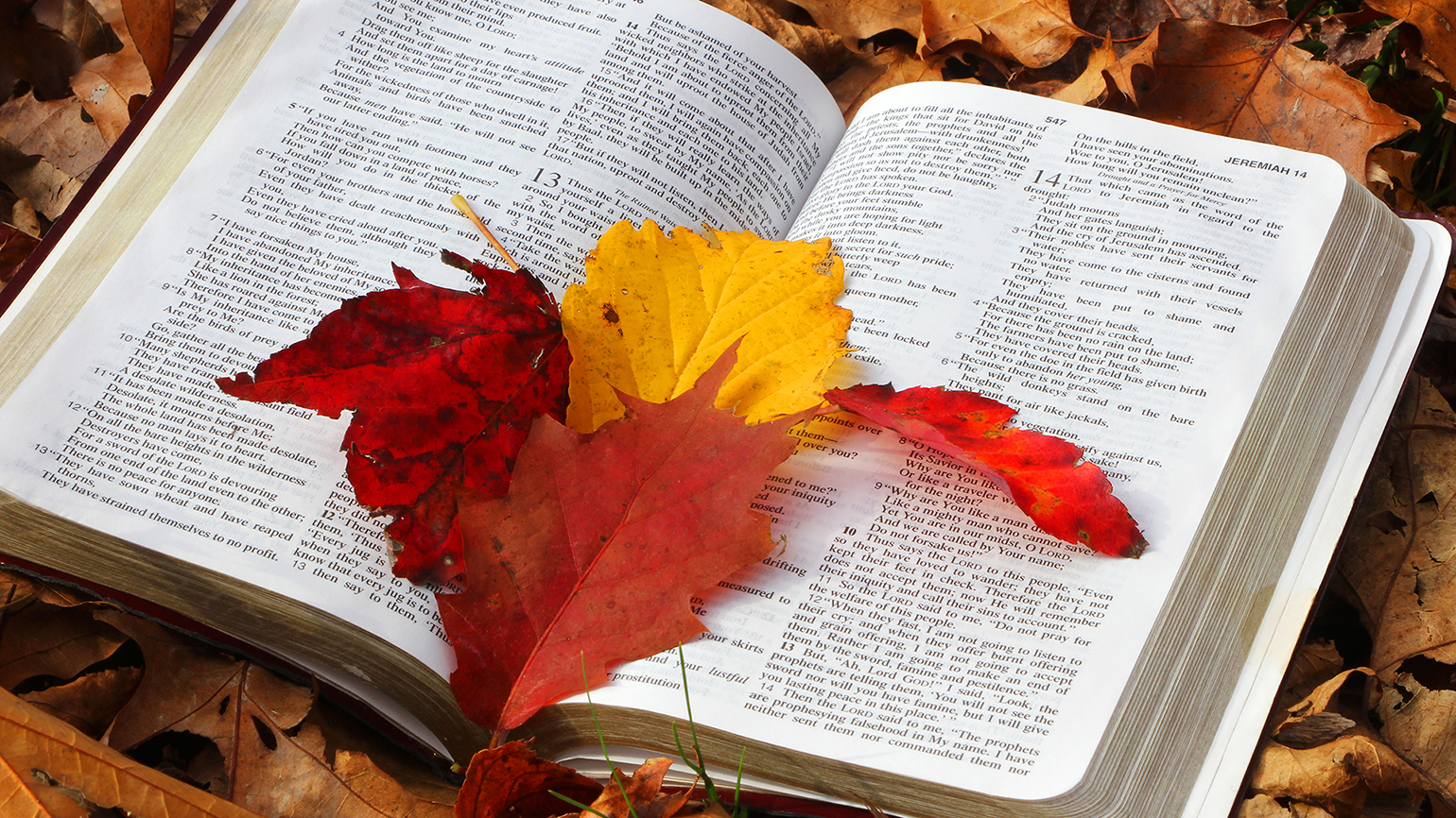 Autumn Inspiration Turns to the Bible