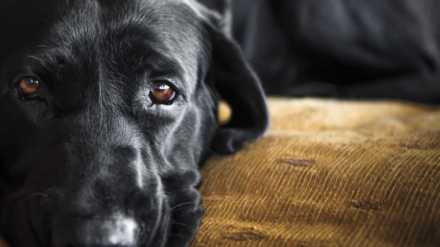 How This Heaven-Sent Sentence Gave Her Comfort