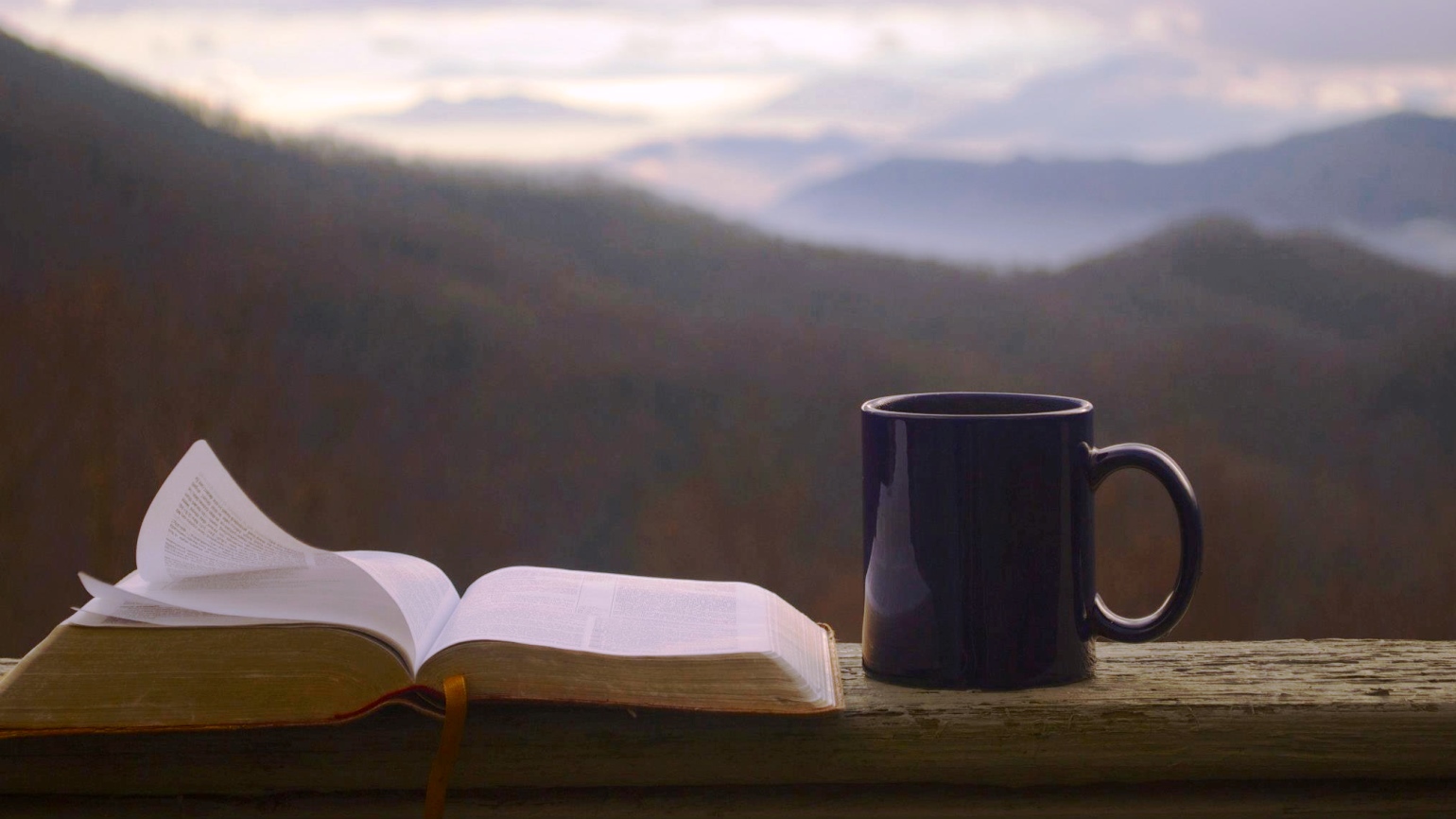 Plant God’s Words Deep in Your Heart