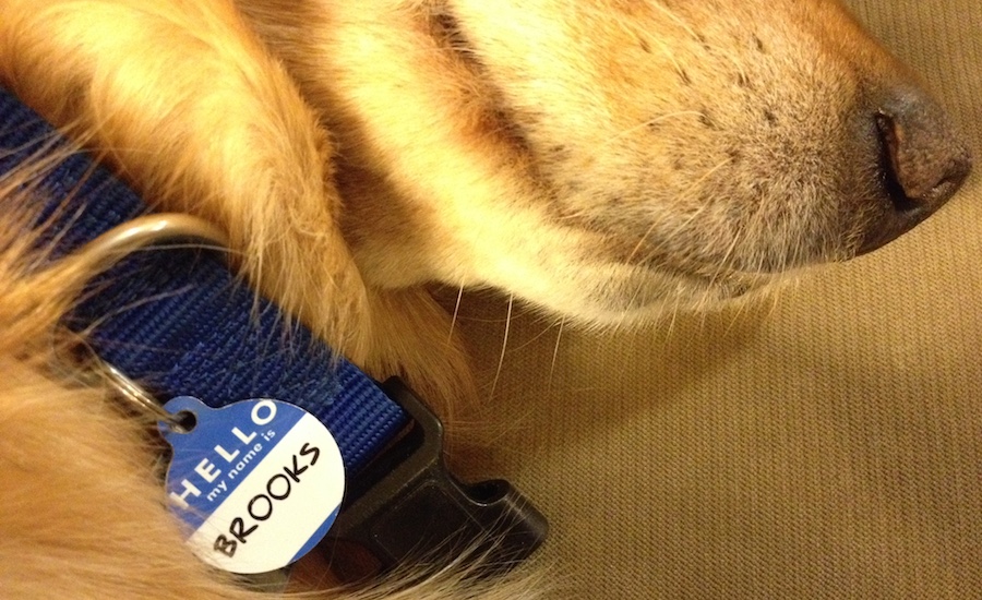 God Calls Us by Name