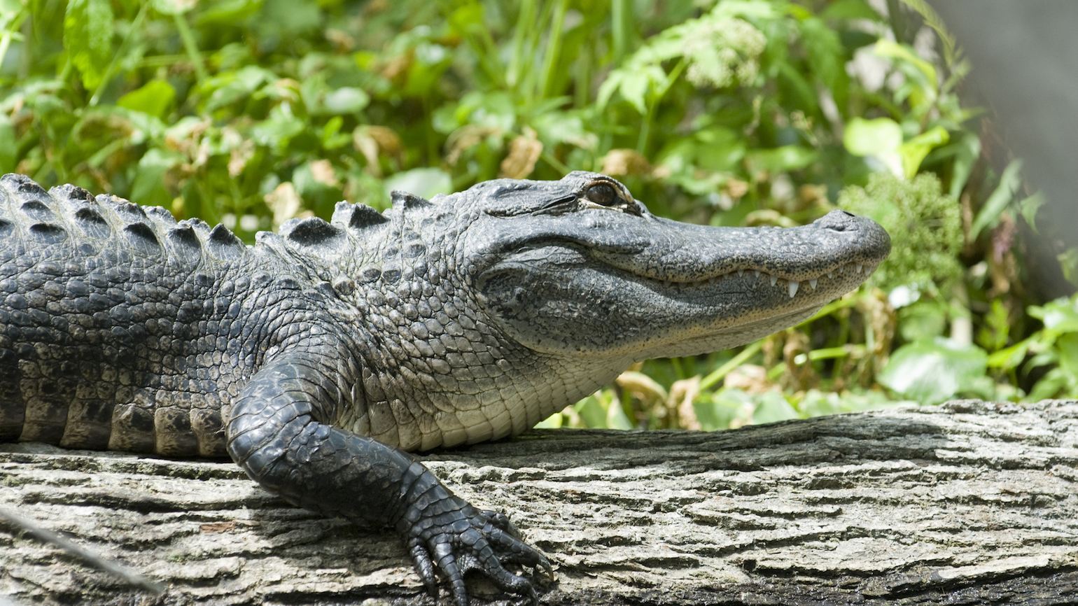 Spiritually Ready for Whatever Comes