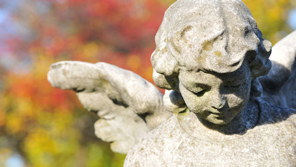 The Journey to Heaven