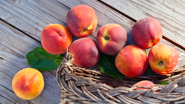 Overcoming Fear with Praise