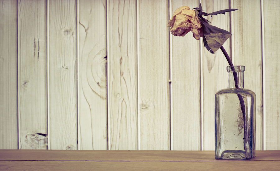 How Jesus Became One Man’s Best Friend