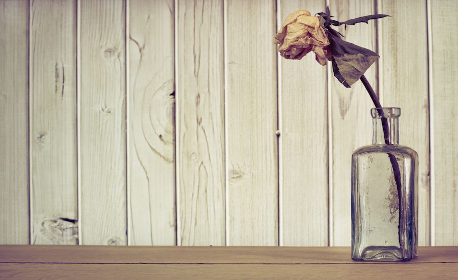 How Jesus Became One Man’s Best Friend