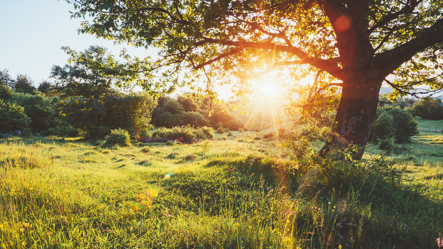 Glimmers of God’s Grace