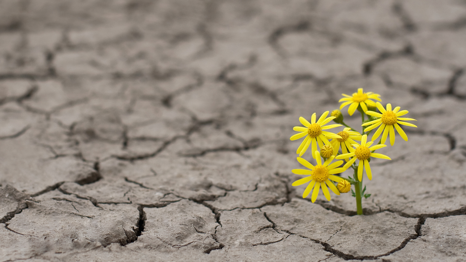 God’s Promises During Times of Struggle