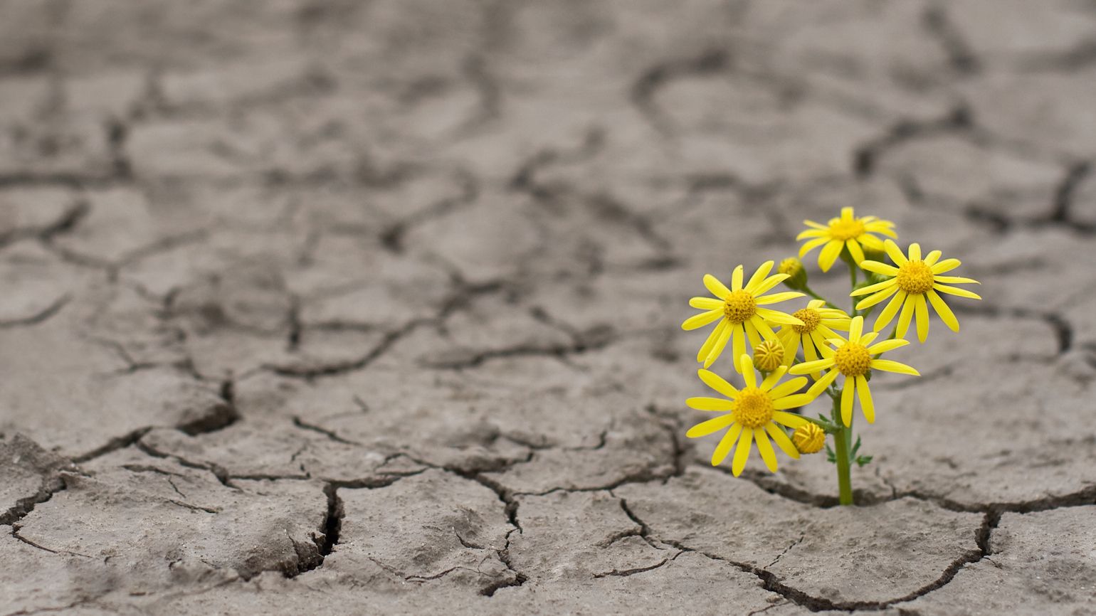 God’s Promises During Times of Struggle