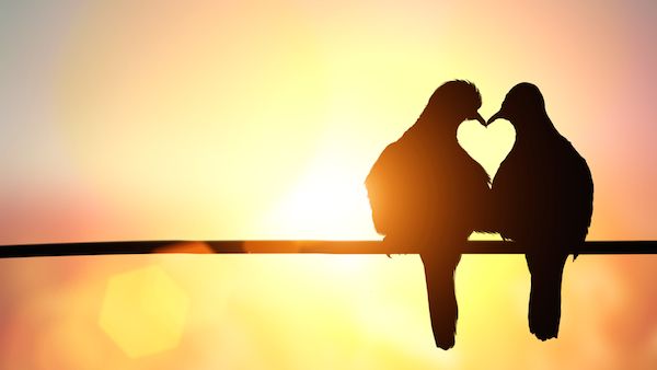 The True Meaning of Love