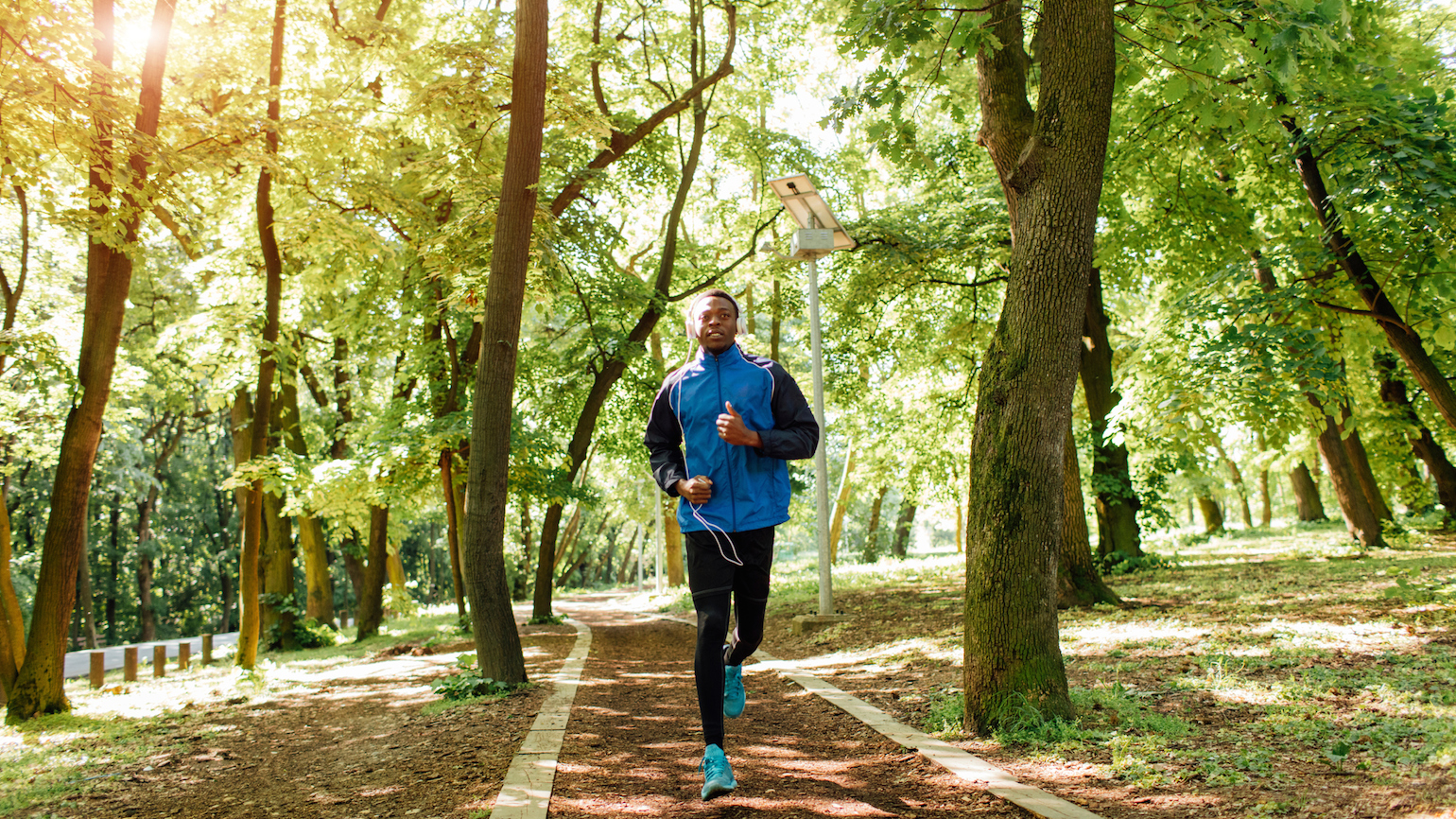 Listening to the Bible on Your Phone