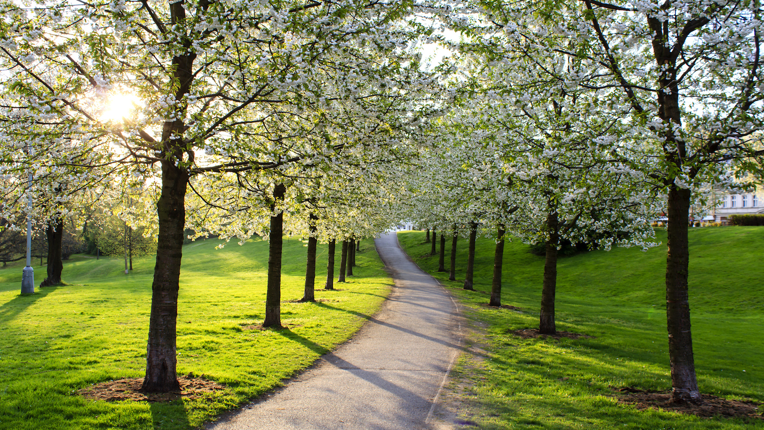 Welcome to A Positive Path