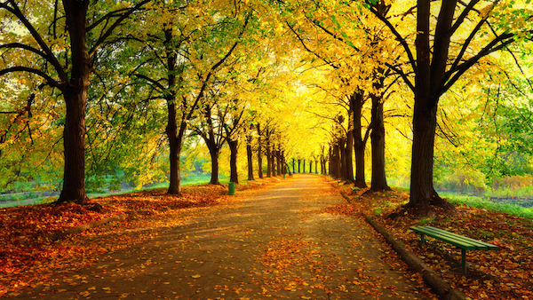 Praying Through the Seasons