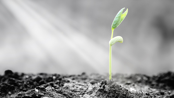 Pray for Blessings from Disappointment