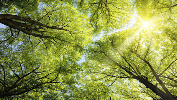 Blind Woman’s Restored Sight a True Miracle