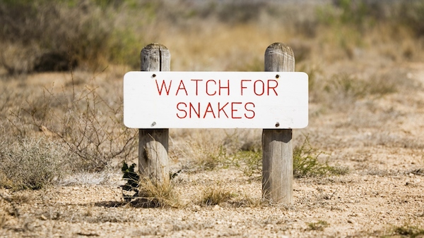 Watch Out for the Spiritual Snake!