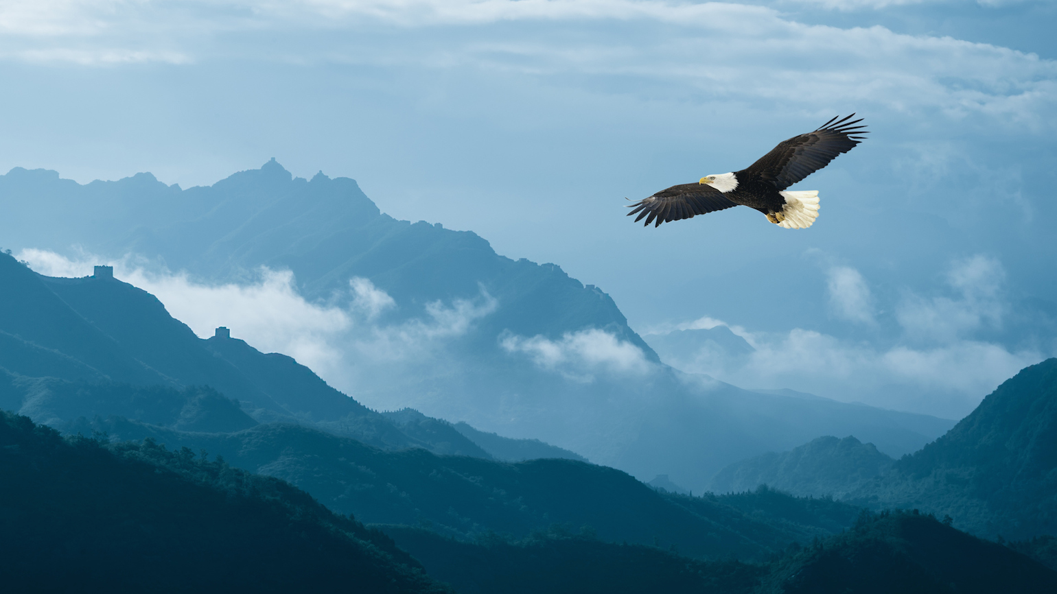 On Wings and a Prayer