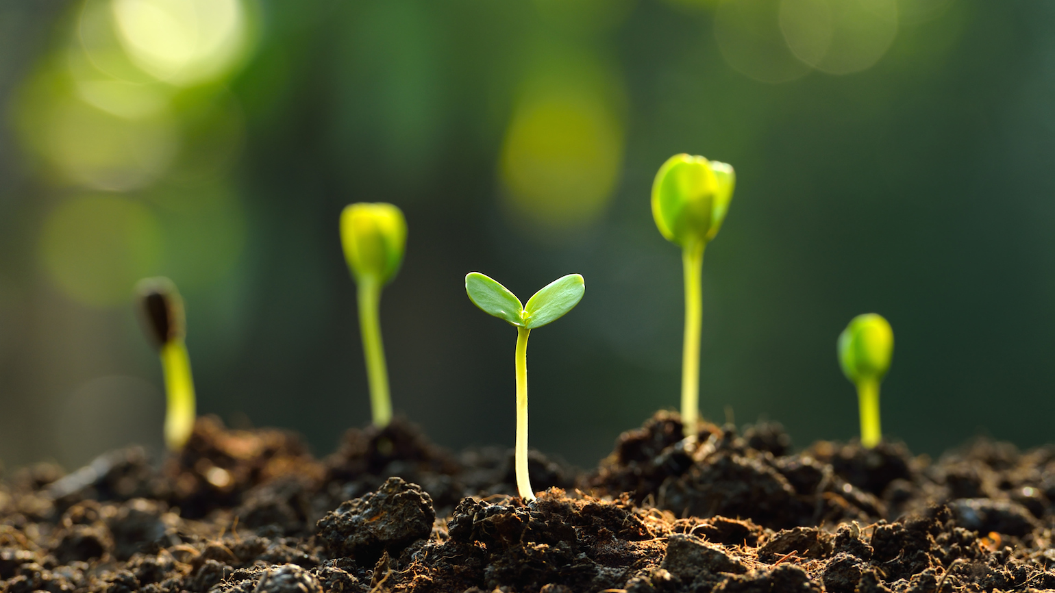 3 Ways to Plant Spring Prayers