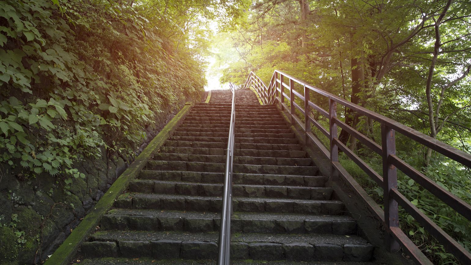 The Wisdom of Taking One Step at a Time