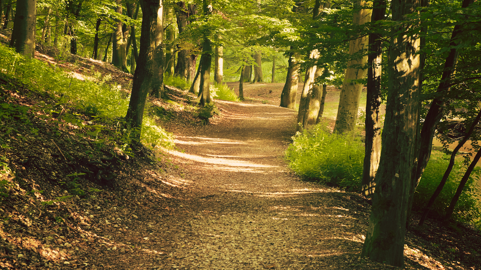 5 Bible Verses to Help You Let Go of Past Mistakes