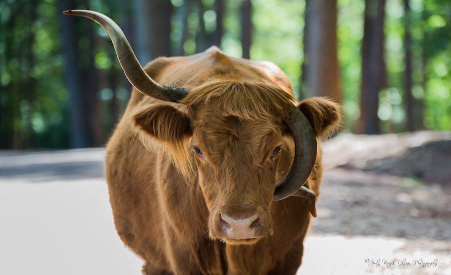 You Are Wonderfully Made!