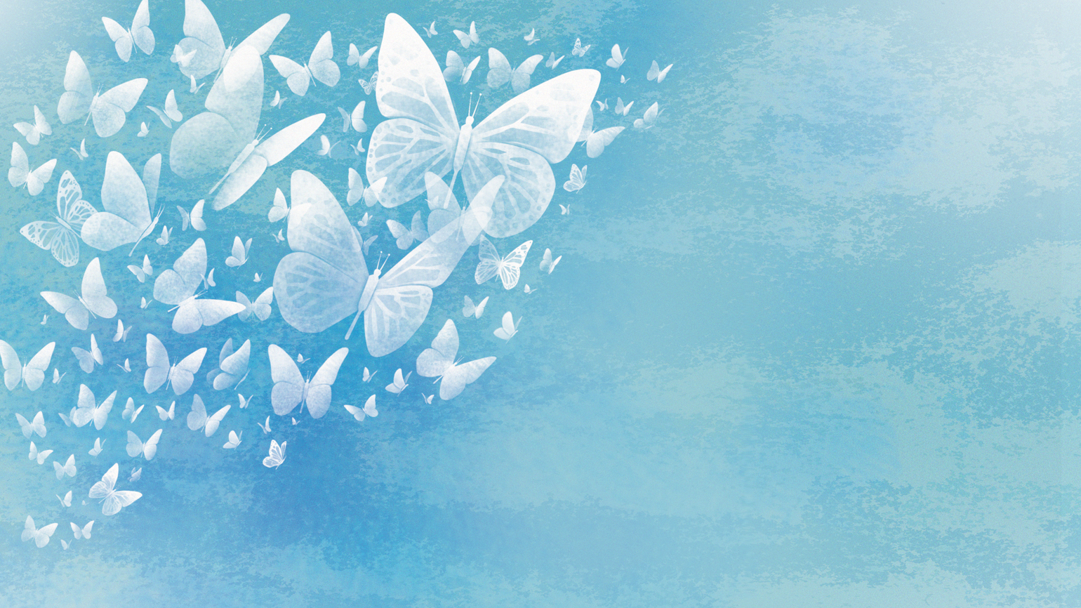 These Butterflies Brought Comfort from Beyond