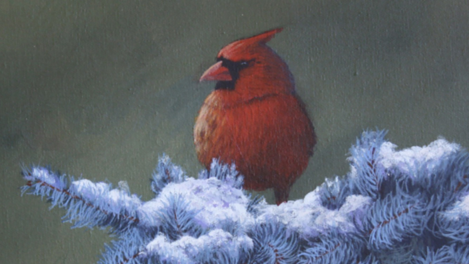 How a Mysterious Cardinal Became a Divine Reminder