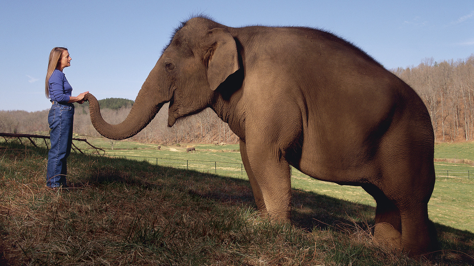 She Founded North America’s Largest Elephant Sanctuary