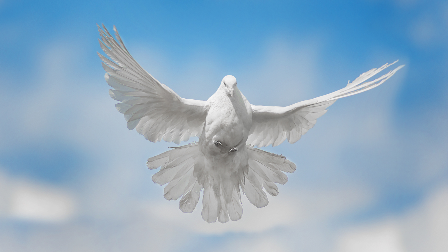 6 Bible Verses to Help You Celebrate Pentecost