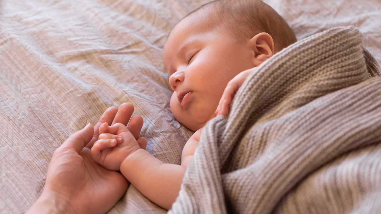 One Family’s Christmas Miracle