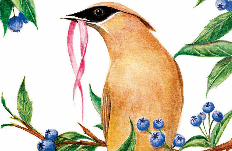 Amazing Story of How a Lost Dog Made It Home