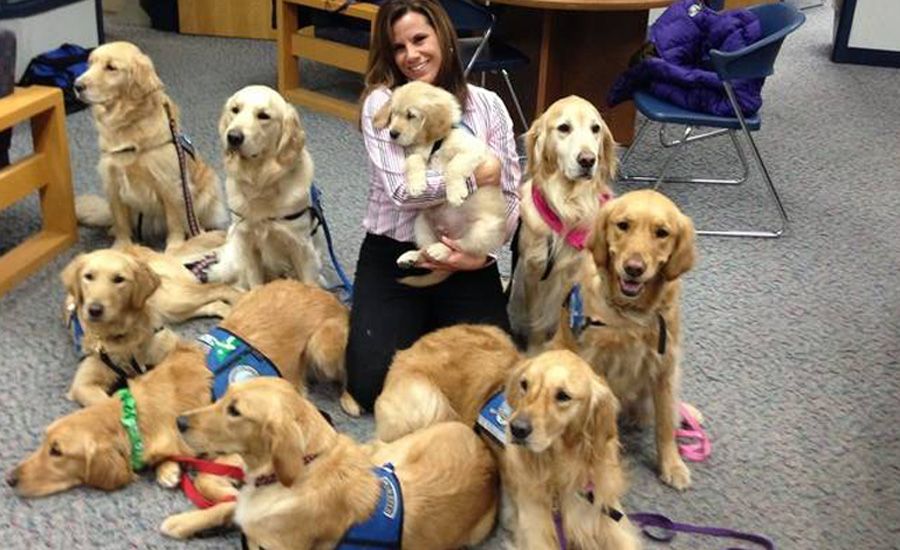 Comfort Dogs Bring Hope to Sandy Hook