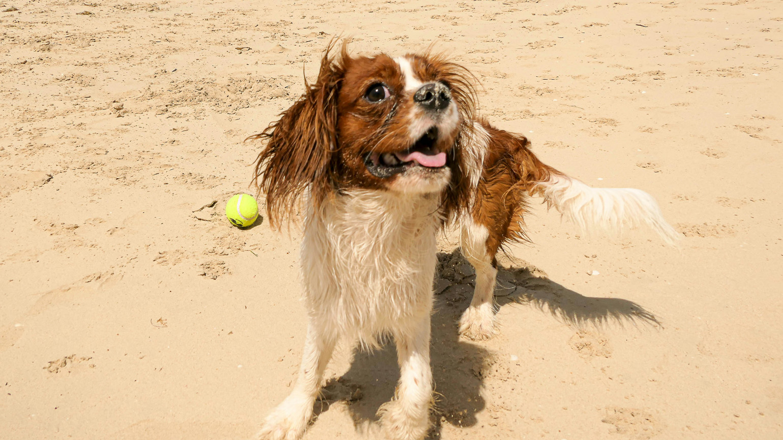 A New Way to Pray Away Worry