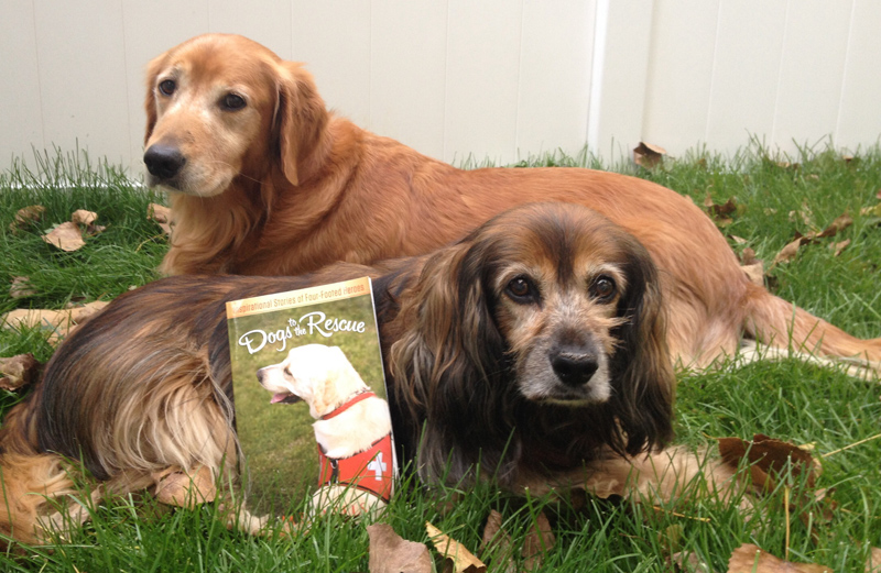 ‘Dogs to the Rescue’: A Devotional for Dog Lovers