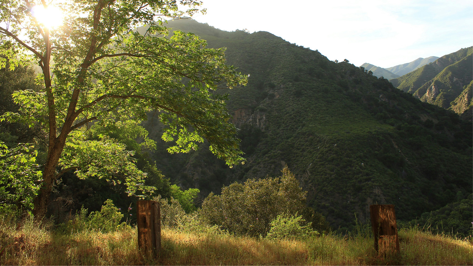 How to Find Hope If Christmas Makes You Sad